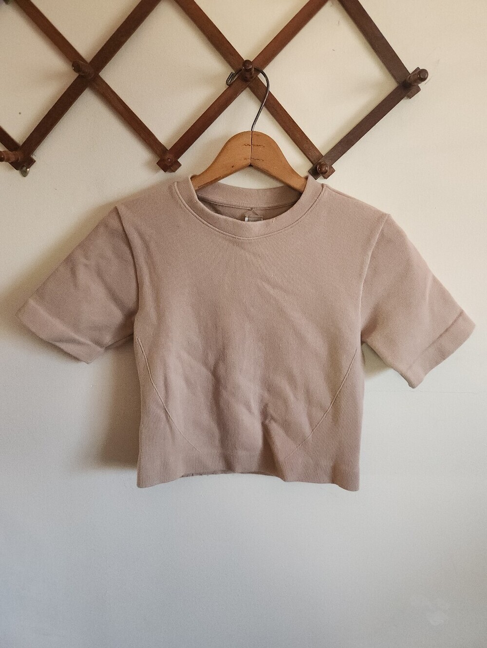 Everlane Short Sleeve Crewneck Top Light Beige Thick Cropped Medium Large